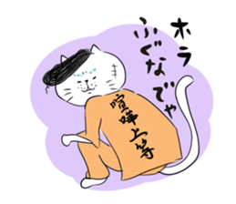 Looser cat 6 sticker #4129429