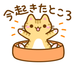 Necoco2 sticker #4129572