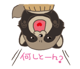 SANUKI of TANUKI sticker #4130276