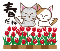 Cats de Sticker ver. four seasons sticker #4131008