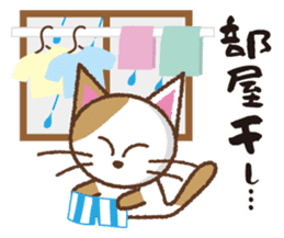Cats de Sticker ver. four seasons sticker #4131015
