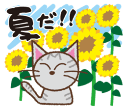 Cats de Sticker ver. four seasons sticker #4131017