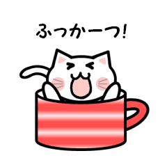 Cup cat!