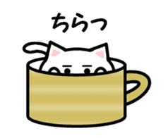 Cup cat! sticker #4131873