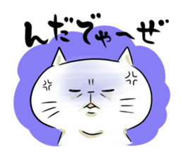 Looser cat 5 sticker #4138445