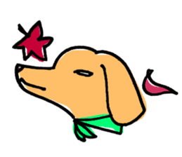 flap eared dog sticker #4139484