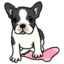 a lot of dogs sticker #4139975