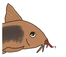 Daily life of Corydoras sticker #4140334