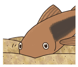 Daily life of Corydoras sticker #4140345