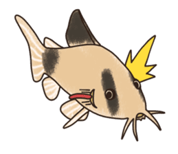 Daily life of Corydoras sticker #4140350