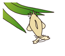 Daily life of Corydoras sticker #4140351