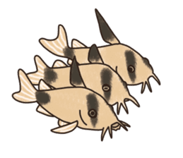 Daily life of Corydoras sticker #4140365