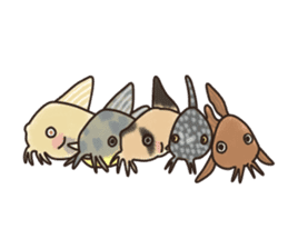 Daily life of Corydoras sticker #4140367