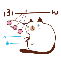 Cute chubby cat