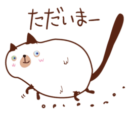 Cute chubby cat sticker #4142466
