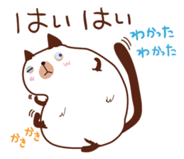 Cute chubby cat sticker #4142487