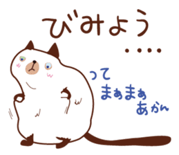 Cute chubby cat sticker #4142494