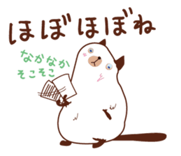 Cute chubby cat sticker #4142495