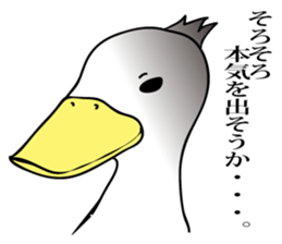 The name of the duck is tacchi sticker #4146647