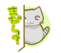 Cat with the stripe to a tail and a back sticker #4148570