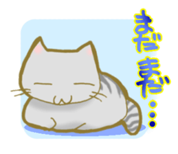 Cat with the stripe to a tail and a back sticker #4148595