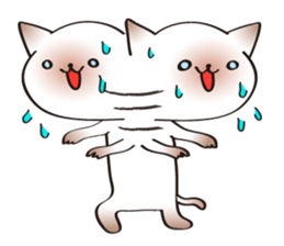 Siamese cat of the purple tie sticker #4149241