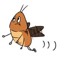 Funny Cockroach Boy (English ver.) sticker #4149760