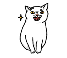 Ironical cats every where sticker #4149934