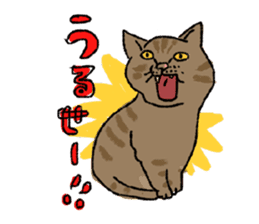 Ironical cats every where sticker #4149942