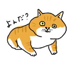 Ironical cats every where sticker #4149954