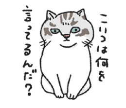 Ironical cats every where sticker #4149958