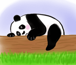 Cute Giant Panda Sticker sticker #4149973