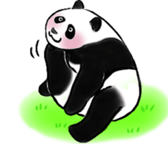 Cute Giant Panda Sticker sticker #4149978