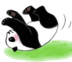 Cute Giant Panda Sticker sticker #4149983