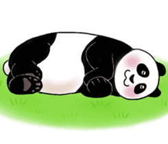 Cute Giant Panda Sticker sticker #4149987
