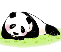 Cute Giant Panda Sticker sticker #4149991