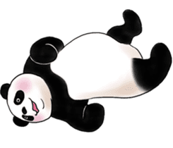 Cute Giant Panda Sticker sticker #4149992