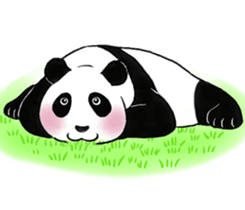 Cute Giant Panda Sticker sticker #4149995