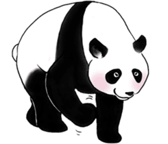 Cute Giant Panda Sticker sticker #4149998