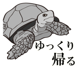 I'm coming home! sticker #4153190