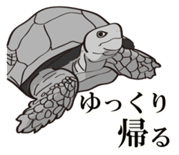 I'm coming home! sticker #4153190