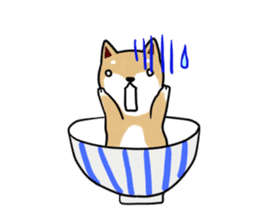 MameShiba-dog and Japanese DONBURI sticker #4154263