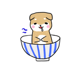 MameShiba-dog and Japanese DONBURI sticker #4154265