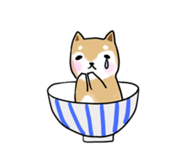 MameShiba-dog and Japanese DONBURI sticker #4154272