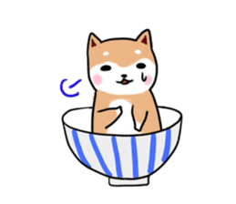 MameShiba-dog and Japanese DONBURI sticker #4154279