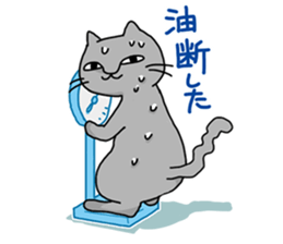 A cat is proud & take a modest attitude. sticker #4154524