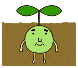 Green Soy Beans sticker #4154789