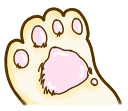 Calm cats sticker #4157260