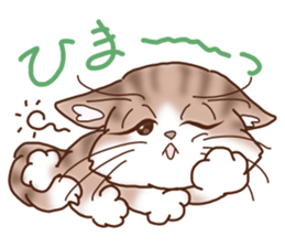 Cute cats and Kittens, like animation! sticker #4158790