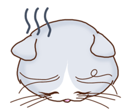 Cute cats and Kittens, like animation! sticker #4158797